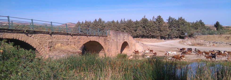 Malaga Roman bridge